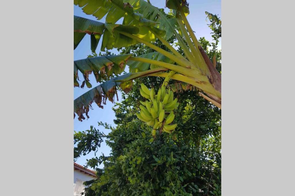 Apartmán Casa Rustica Torremolinos Exteriér fotografie